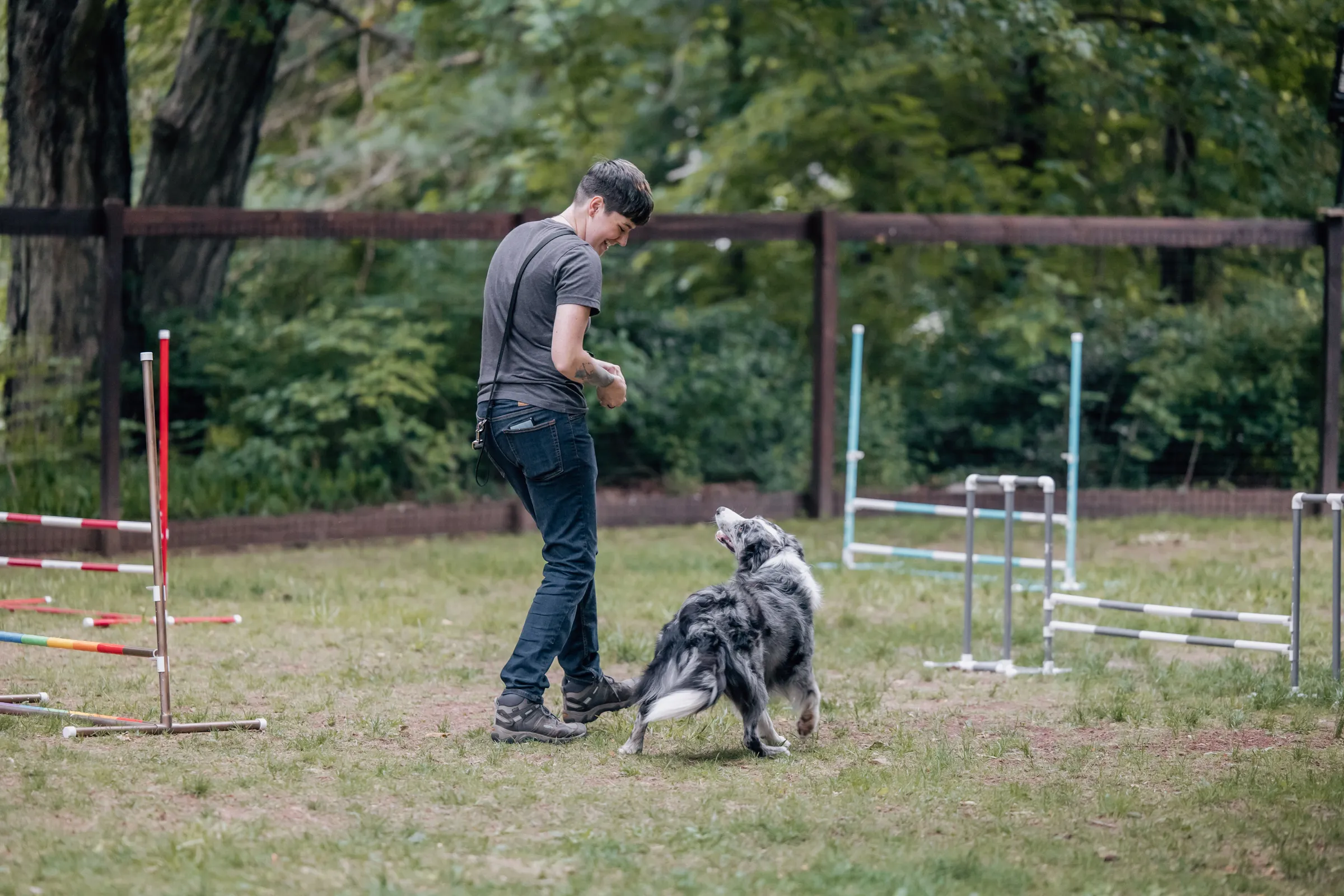Dog training results